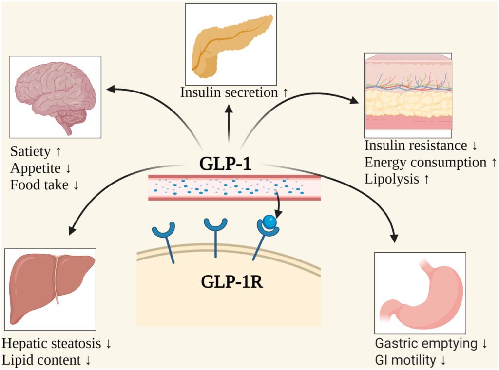 GLP-1 Agonists in Psychiatry article in mindrecalls.com for mrcpsych